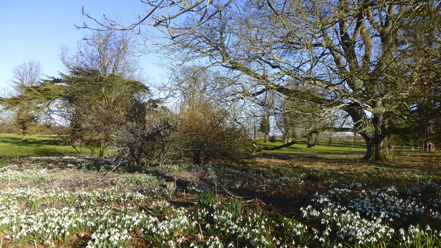 Spring at the Roxburghe