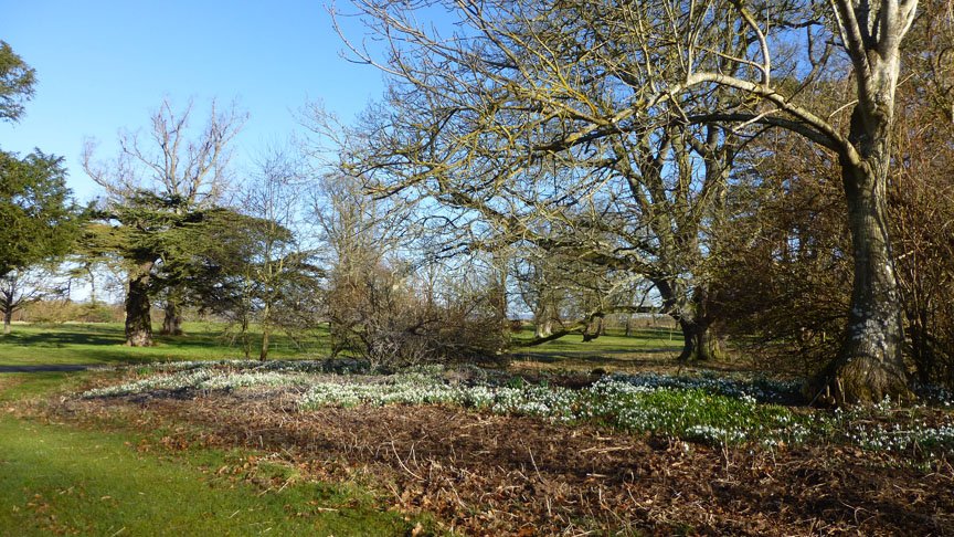 The Roxburghe gardens